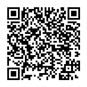 一个个身长百米甚至数百米的荒兽成群结队的在陨神之地到处肆虐二维码生成