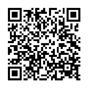 一个个还不等张铁靠近就主动远远避开了张铁的飞行路线二维码生成