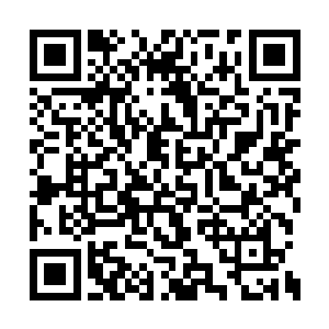 一个个都不怀好意地瞅向那几个幸存的尸灵族人二维码生成