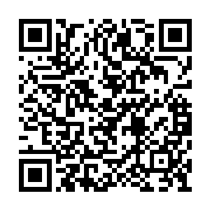 一个个都双目放光地望着燕山魂手中的两个玉瓶二维码生成