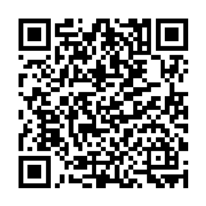 一个个都拿着两张一百元的钞票冲上前来喊着要票了二维码生成