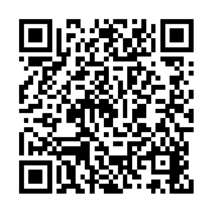 一个个都觉得星火是这世上最牛逼最无敌的组织二维码生成