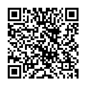 一个中医这么冷门的题材想要取得票房上的丰收简直是痴人说梦二维码生成