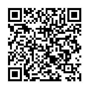 一个临时组成的特别调查小组从美国飞向了太平洋二维码生成