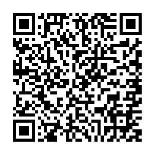 一个主要的原因就是曾经是金百合计划的核心人物竹田宫的日记在欧洲出现了二维码生成