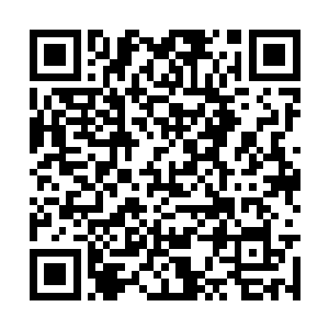 一个之前杨晨没有没有见过的地方出现在他的眼前二维码生成