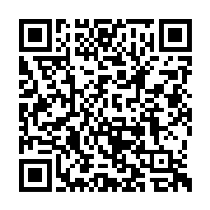 一个九鼎高手正面的自然之力攻击时非常可怕的二维码生成