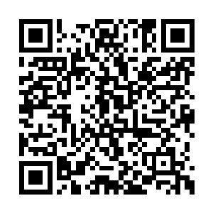 一个五品没道理能在短短一个月时间内晋升六品二维码生成