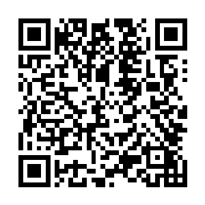 一个人和这么多人对碰……唯一的办法就是能跑多远跑多远二维码生成
