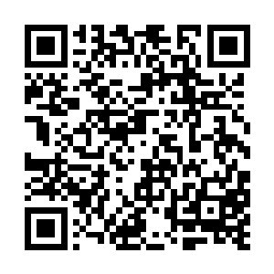 一个人在安葬魔宫老宫主的那座小岛上面等她爷爷二维码生成