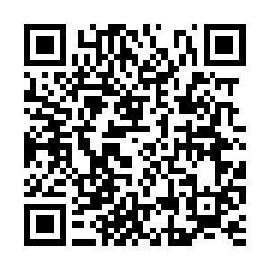 一个人对抗整个世界更是中二病晚期才会有的妄想二维码生成