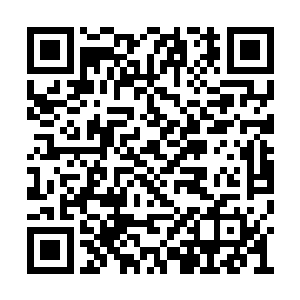 一个人类……身体怎么会比我们的族人还要强悍二维码生成
