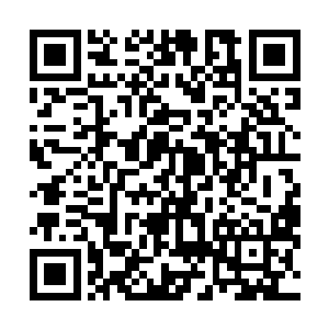 一个人经历过什么才能在短时间内对一种菜由厌恶到期待二维码生成