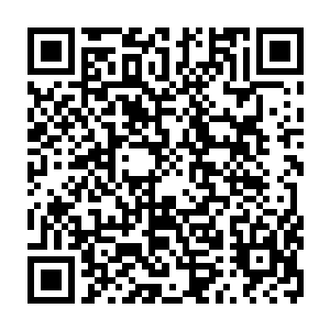 一个仙君初期巅峰实力再强能够勉强达到仙君后期巅峰的战力就已经是极限了二维码生成
