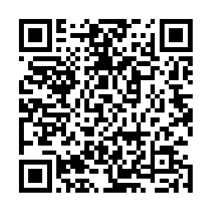 一个仙帝后期在独步的面前无疑和一只蝼蚁没有多大的区别二维码生成