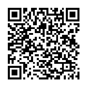 一个低贱的下等魔鬼……是什么让你做出了这种错误的抉择二维码生成