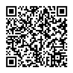 一个元婴初期的修士被十个元婴初期和两个元婴中期的修士围在了中间二维码生成