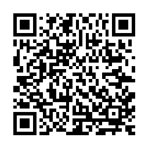 一个先天境界对于一个宗门来意味着什么……就算他们害怕我二维码生成