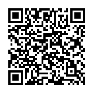 一个养尊处优的少星主怎么可能比得上他苦练几十年二维码生成