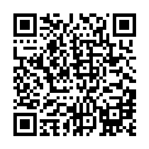 一个凌驾于大众之上的最高当局来大规模结束所有人的生命二维码生成