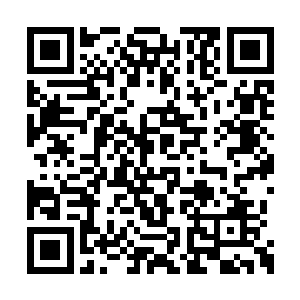 一个凝丹之劫简直跟给自己挠痒痒没有什么区别二维码生成