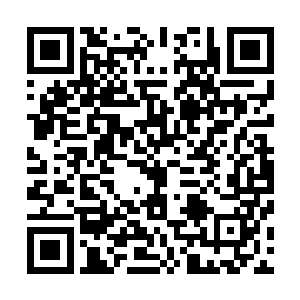 一个分神中期的修士眼睁睁地看着刚才还在一起喝酒的同伴二维码生成