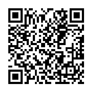 一个则是在血梅近身前已用剑潮消磨其大部分力量二维码生成