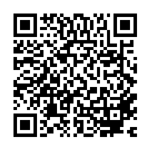 一个刚刚大学毕业因为被男朋友出卖而快速成长起来的女孩子二维码生成