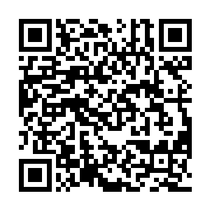 一个前所未有可以彻底压制住魔族空中力量的强大兵种二维码生成