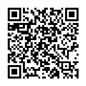 一个劲的追问曹振自己的老哥究竟都说了一些什么二维码生成