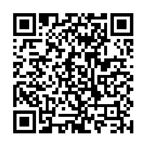 一个势力领袖对自己所在的势力要达到绝对的控制权二维码生成