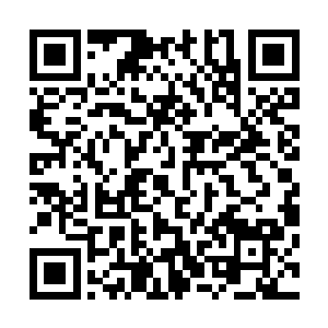 一个化神后期使出的雷爆珠总不可能是金丹期或者元婴期的二维码生成