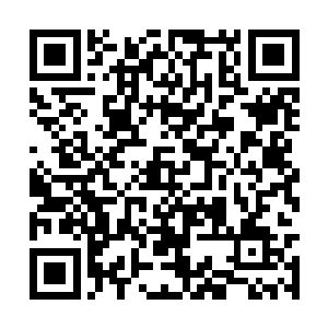 一个十八长老孙女的院子就要比他之前待的大几倍二维码生成