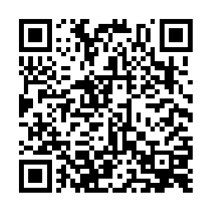 一个单位的同事吃个饭聊个天一起玩玩这没有什么二维码生成