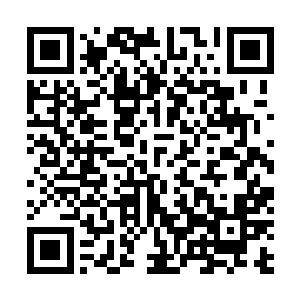 一个却是把资源全都让给了队友并带领着团队走向了胜利二维码生成