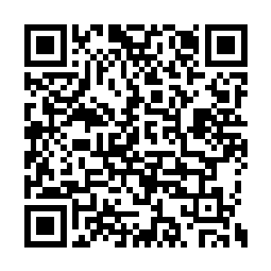 一个受过专门训练的驯兽师大多都能够做到这点二维码生成