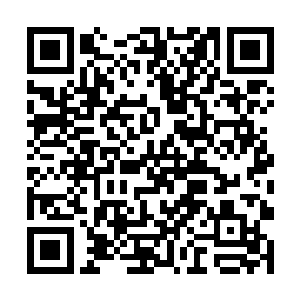 一个古神顶峰的高手显然已经足以引起杨戬的重视了二维码生成