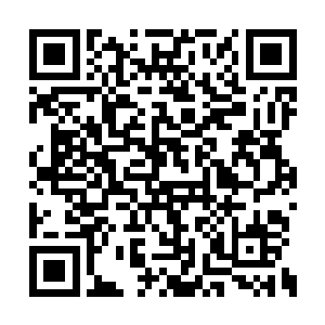 一个只是穿着睡衣的窈窕少女出现在了口袋之中二维码生成