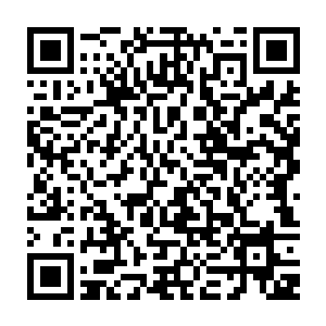 一个只有四十多级的玩家只身到这五十级左右主动攻击怪的区域来那不是找死吗二维码生成