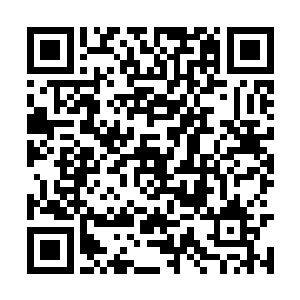 一个叫做寒冬刺客的家伙开始闪耀于众人的视野中二维码生成