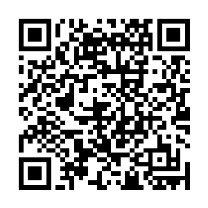 一个叫向少杰的年轻人跑到这一块建了一个藏獒养殖场二维码生成