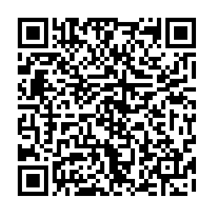 一个可以和目前住众所公认的诸天百界太上境第一人交手而且还不弱下风的强者二维码生成