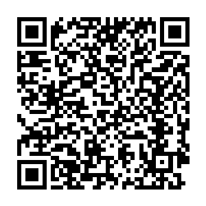 一个同时和幼年的公主与当年的皇后相像的婢女突然出现在谢家的府邸二维码生成