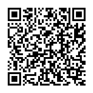 一个同样穿装苗衣满头银发的老女人被两个草蛊婆给搀扶着走了出来二维码生成