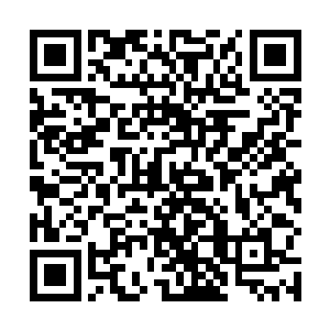 一个后背长着七对翅膀的堕落天使猛地喷出了一口鲜血二维码生成