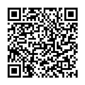 一个周天御史甚至可以左右天下舆论与太夏朝堂的决定二维码生成