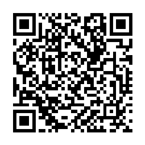 一个啥都不懂小学一年级的小妹仔的魂魄在外边游荡二维码生成