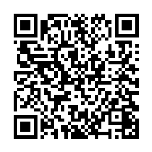 一个四重仙怎么可能打得两个五重仙连战都不敢再战二维码生成