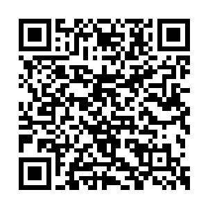 一个圆满王境跟踪巅峰皇境……你也就想想算了二维码生成