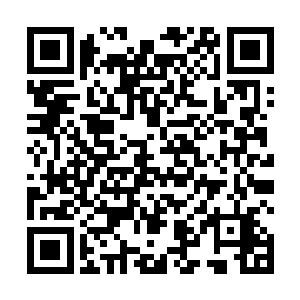 一个圣级九层后期巅峰大修士的寿元已经是和天地同寿二维码生成